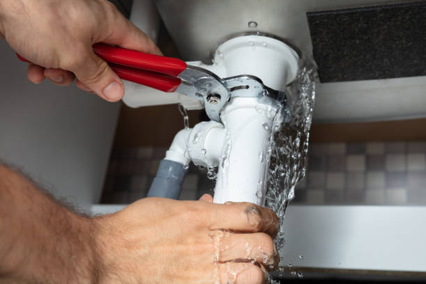 Best Mold removal after water damage  in Eastmont, WA