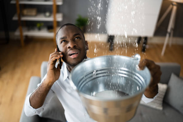 Best Professional water damage repair  in Eastmont, WA