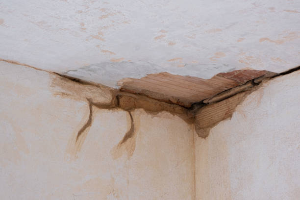 Best Water damage restoration near me  in Eastmont, WA