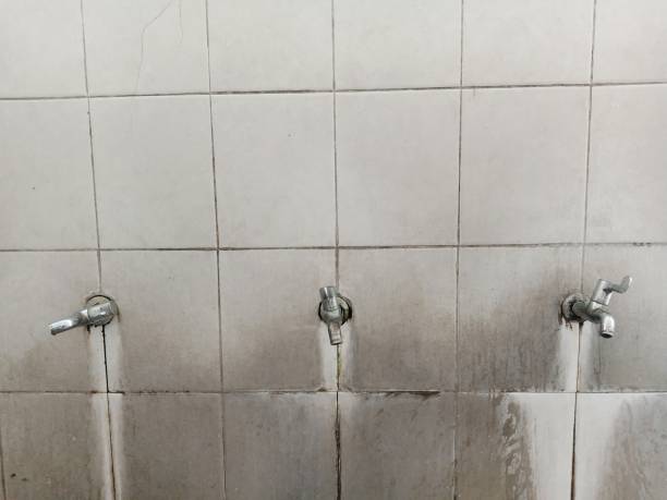 Best Basement water damage restoration  in Eastmont, WA