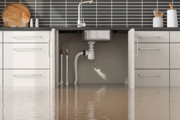 Best Ceiling water damage repair  in Eastmont, WA