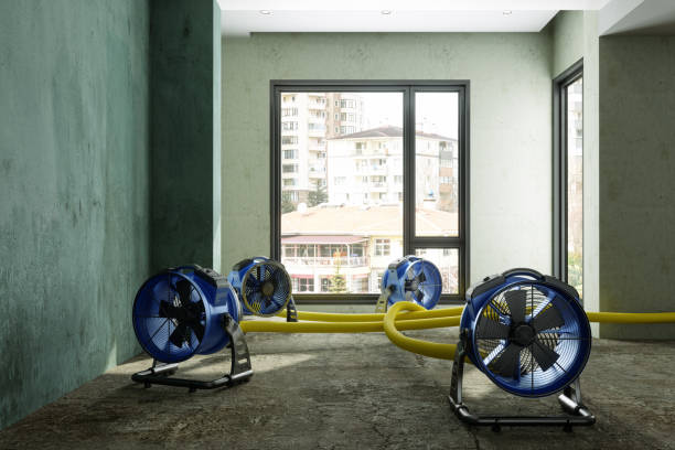 Best Water damage restoration services  in Eastmont, WA