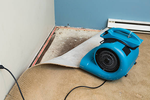 Best Emergency water damage restoration  in Eastmont, WA